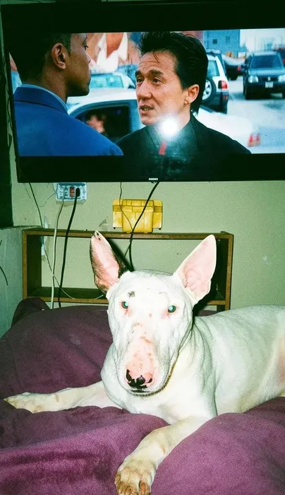 Foto 1 de Popeye