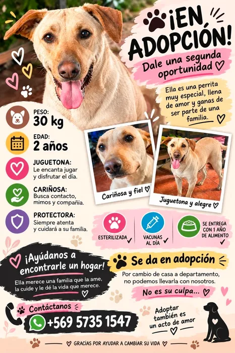 Foto 1 de Amy