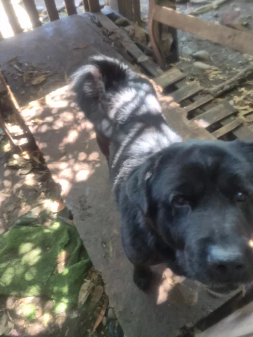Foto 1 de Charlie