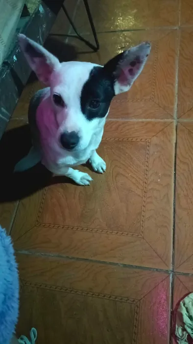 Foto 1 de Bruno