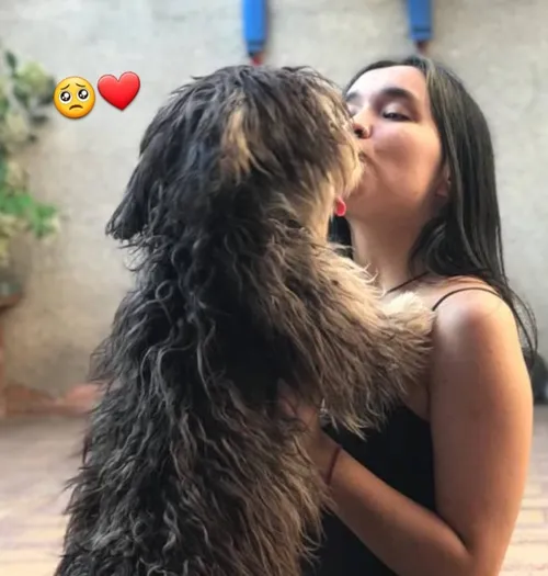 Perfil de monserrat N.