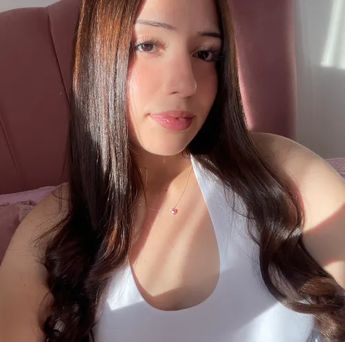 Perfil de pascalle U.