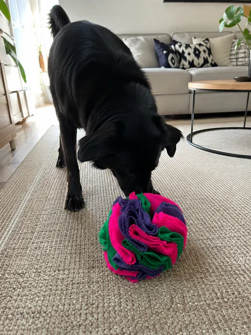 Pelota Olfativa