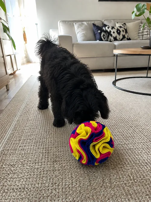 Pelota Olfativa