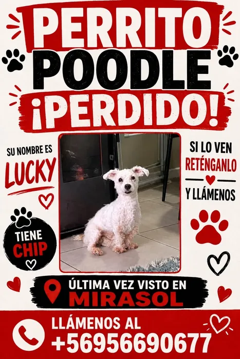 Lucky