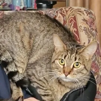 Zoe