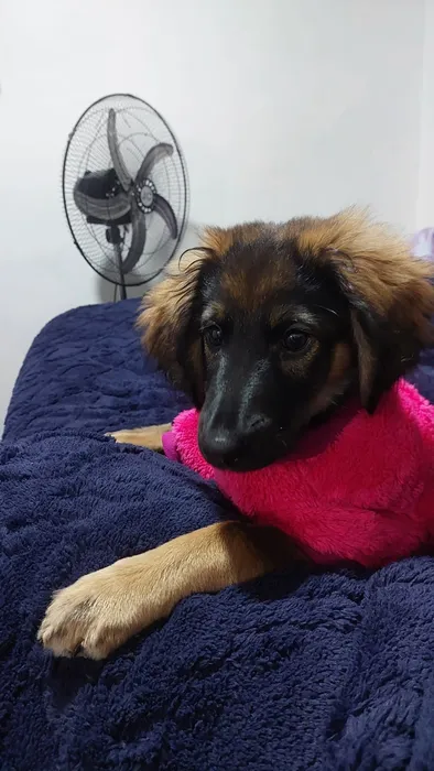 Foto 1 de Luna