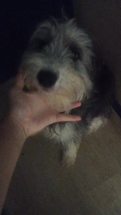 Foto 1 de Coco