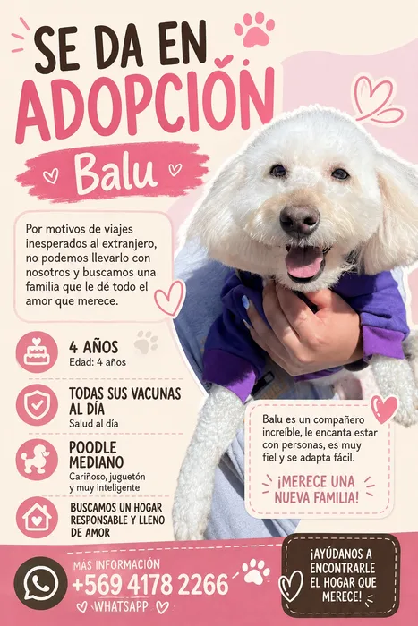 Foto 1 de Balu