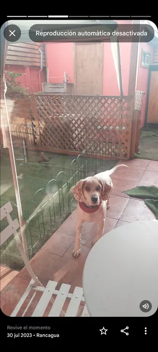 Foto 1 de Bingo