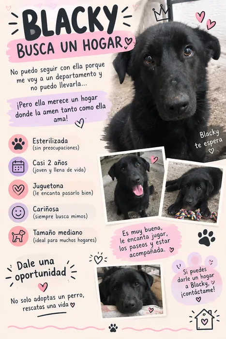 Foto 1 de Blacky
